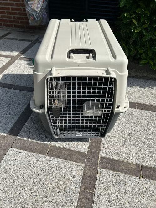 Transport box hond, Ophalen, Zo goed als nieuw