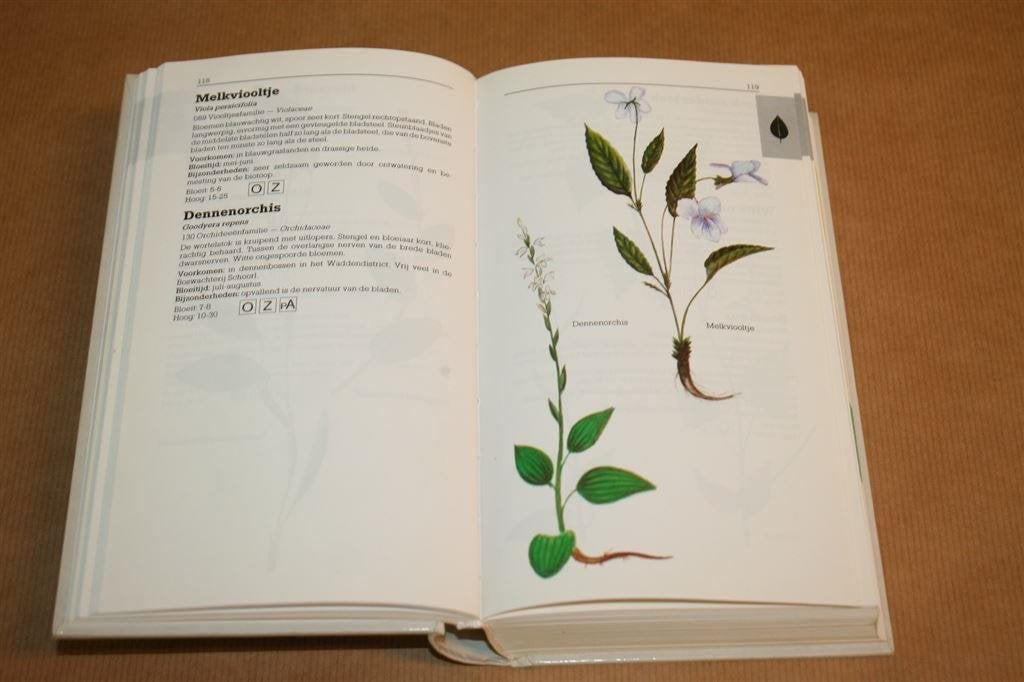 Wilde planten in kleur - Gids met ruim 800 illustraties, Ophalen of Verzenden, Gelezen, Bloemen, Planten en Bomen