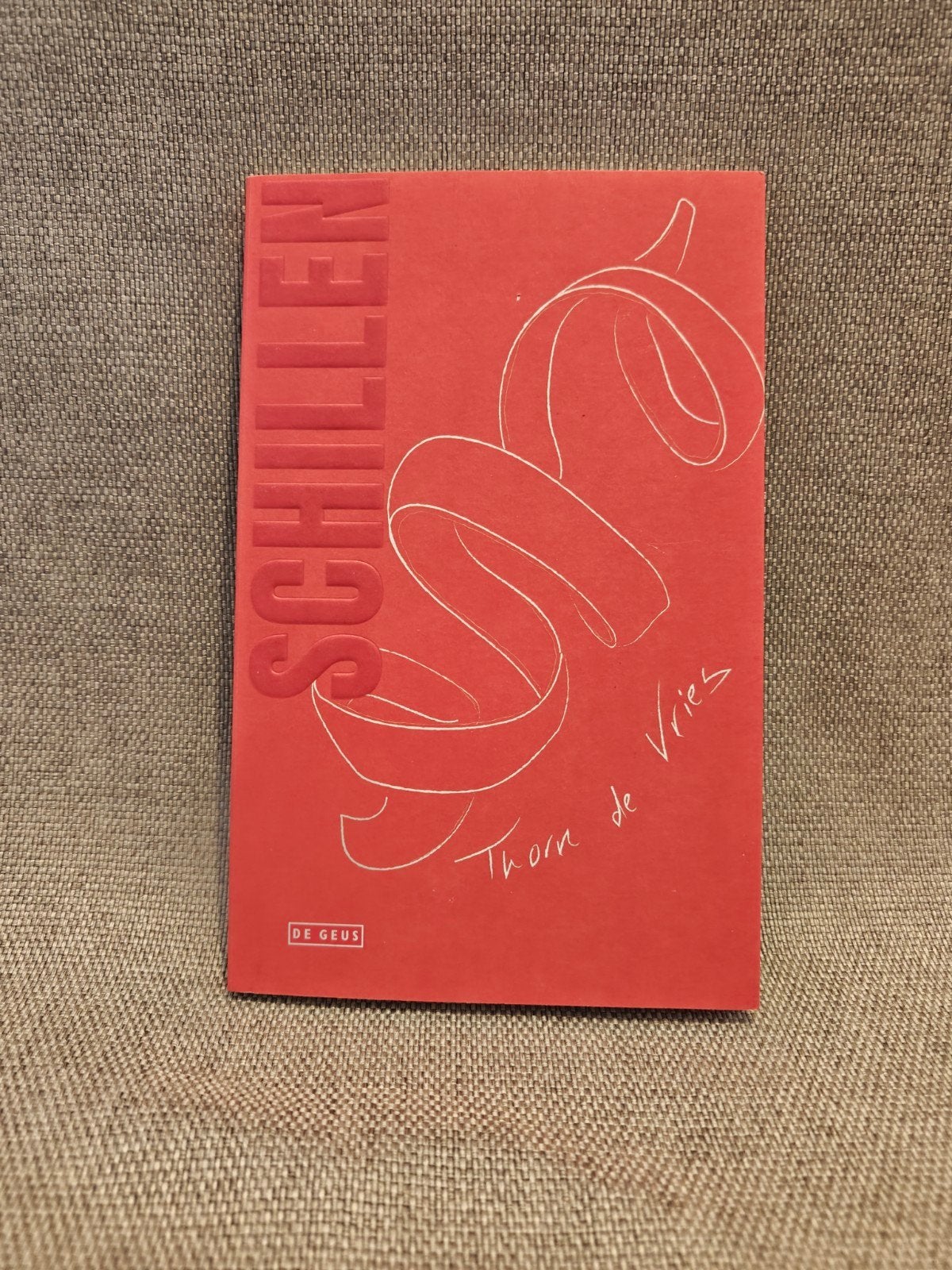 Schillen - Thorn de Vries, Boeken, Ophalen of Verzenden, Zo goed als nieuw, Thorn de Vries, Nederland