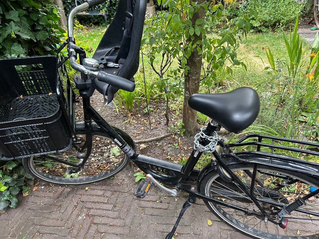 Batavus Personal Bike, Ophalen, Terugtraprem, (Extra) lage instap, Batavus