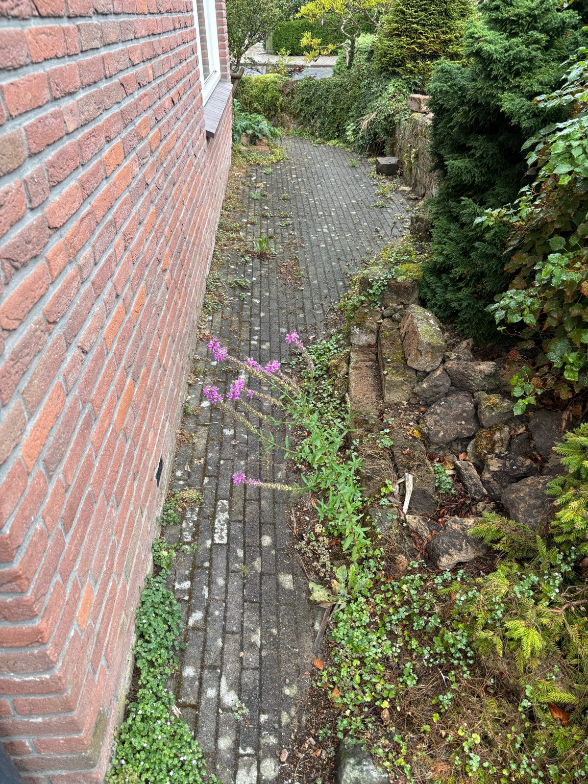 Gebruikte klinkers/straatstenen/waaltjes - Gratis, Ophalen, Gebruikt, Klinkers, 10 m² of meer