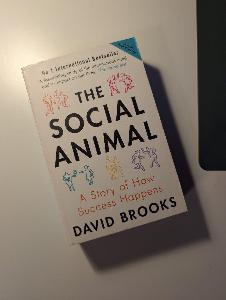 The Social Animal - David Brooks, Ophalen of Verzenden, Zo goed als nieuw, David Brooks, Amerika