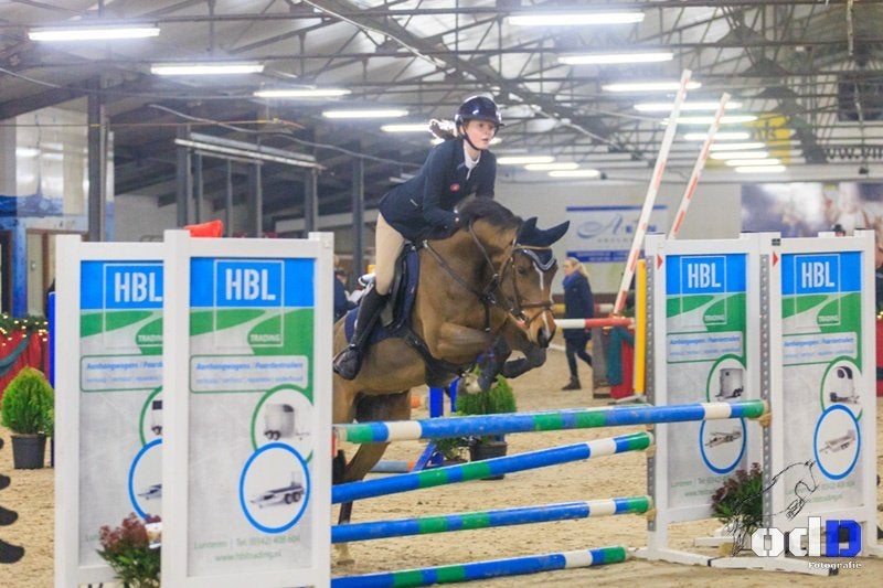 8 jarige welsh merrie, Dieren en Toebehoren, Merrie, Met stamboom, Springpony, L