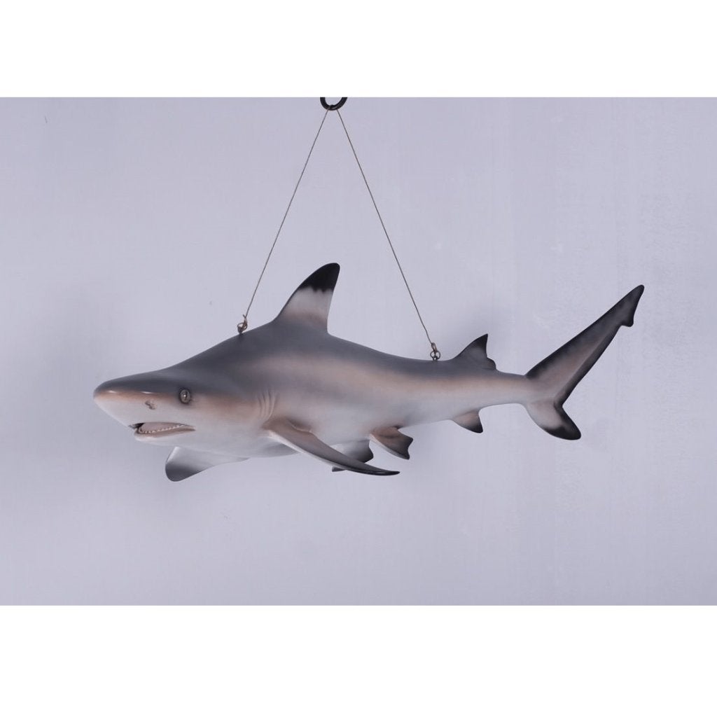 Shark Tip Reef Black beeld – Haai Lengte 115 cm, Ophalen, Nieuw, Overige typen