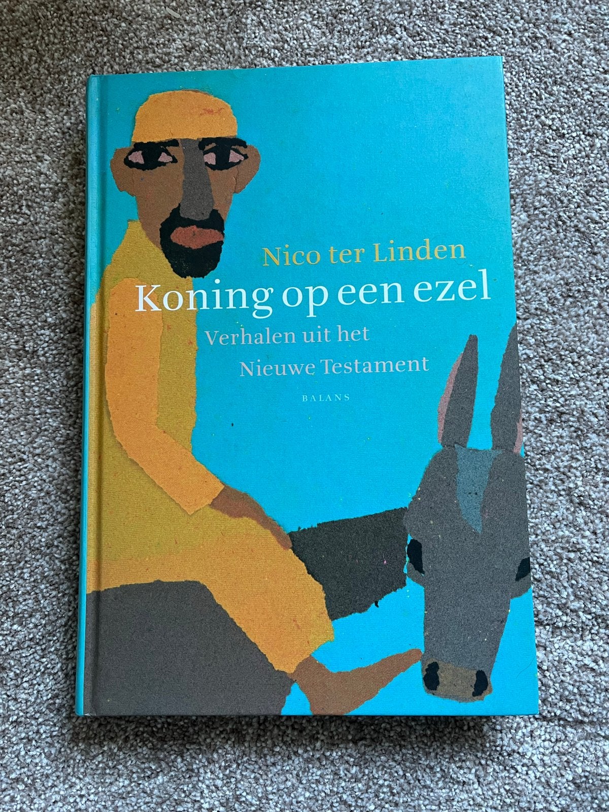 Bijbelverhalen voor kinderen: Koning op een ezel, Ophalen of Verzenden, Zo goed als nieuw, Non-fictie