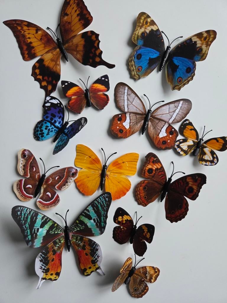 Twee setjes 3D vlinders, Ophalen of Verzenden, Nieuw, Meerdere plaatjes