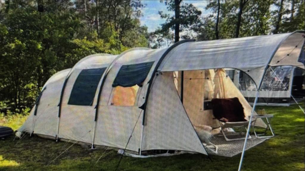 Obelink Fashion Gold 4-persoons tunneltent met stokken, Caravans en Kamperen, Tenten, Ophalen, Gebruikt, Tot en met 4