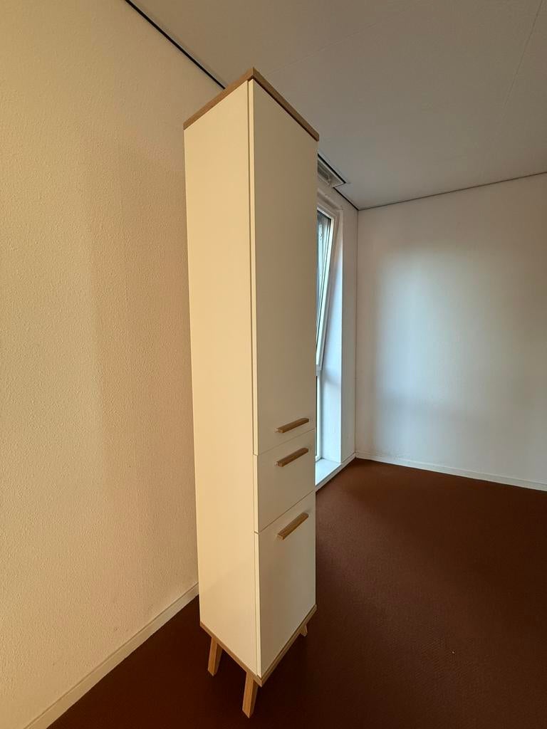 Tall Narrow Cabinet / Hoge Kast