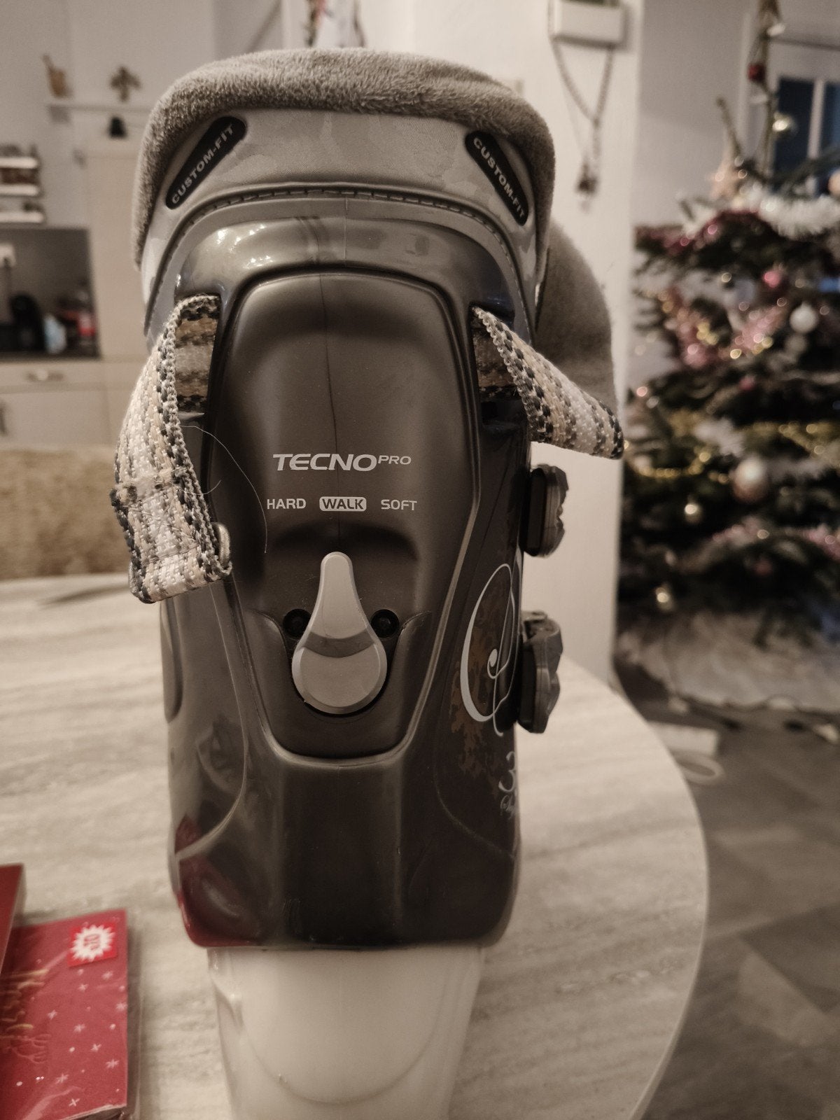 Tecno Pro Skischoenen Maat 40 met Draagzak, Overige merken, Gebruikt, Schoenen, Ophalen of Verzenden