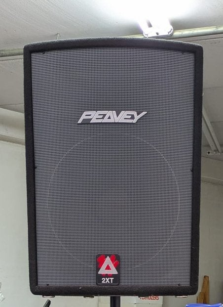 Twee stuks peavey 2-XT 15” plus hoorn pasieve speakers, Ophalen, Zo goed als nieuw, Overige merken