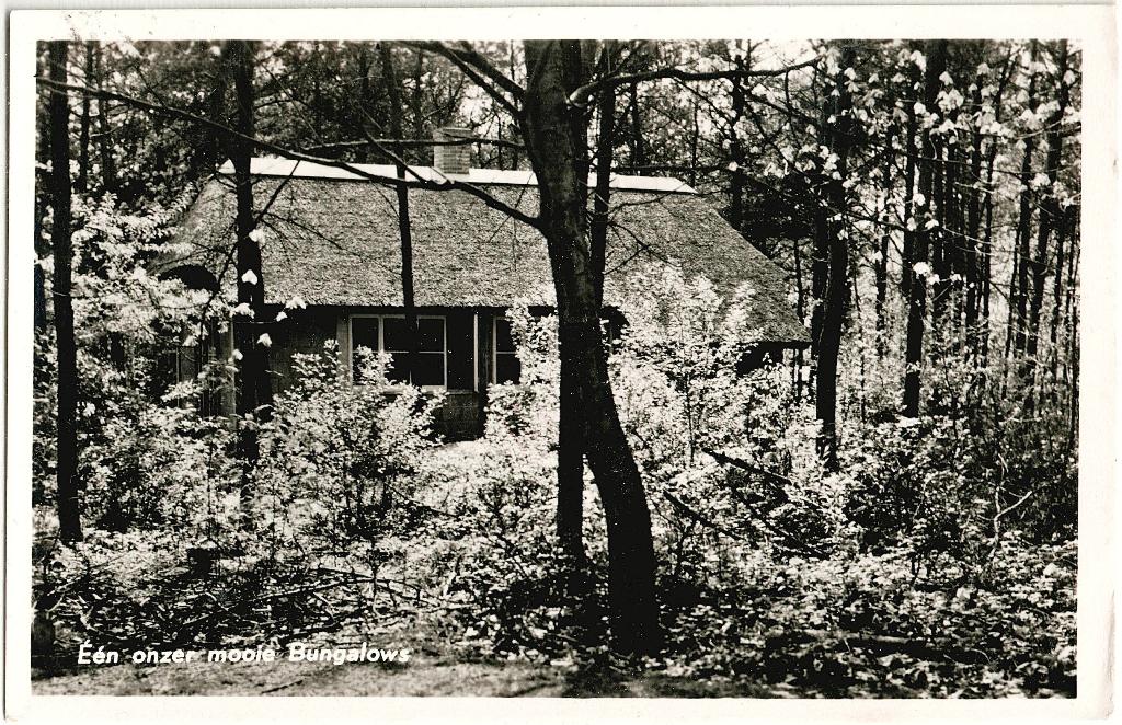 Grollo (Dr), vakantieoord De Berenkuil, gelopen kaart,, Verzenden, 1940 tot 1960, Gelopen, Drenthe