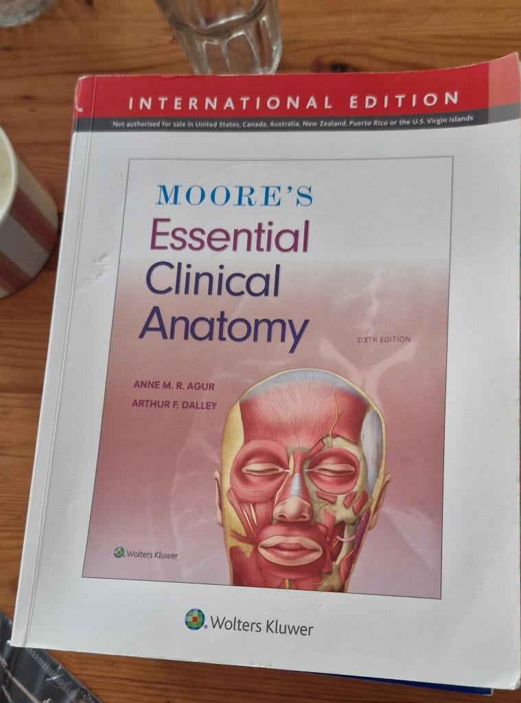 Moore's essential clinical anatomy boek, Ophalen of Verzenden, Wolters Kluwer, Beta, WO