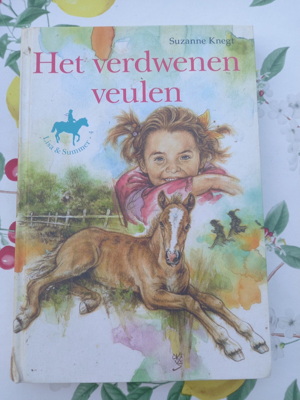M7 Suzanne Knegt - Het verdwenen veulen, Boeken, Gelezen, Suzanne Knegt, Fictie algemeen, Ophalen of Verzenden