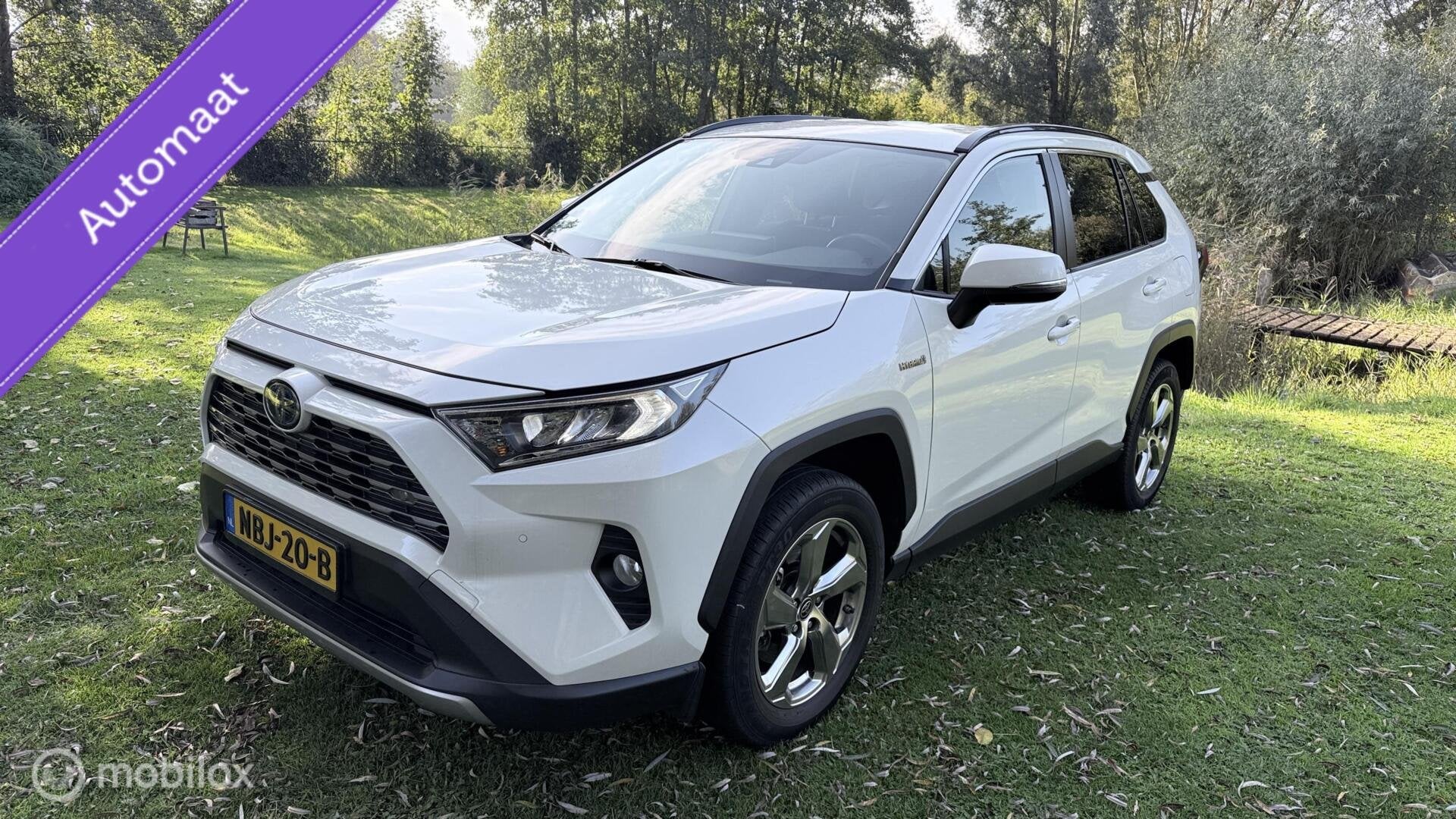 Toyota Rav4 Hybrid Automaat met een beetje Diefstalschade, Auto's, Stof, Gebruikt, 4 cilinders, Rav4