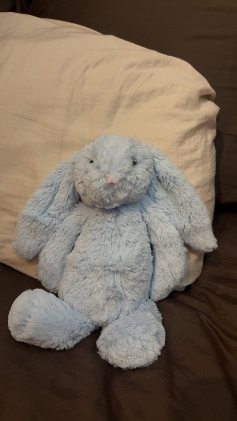 Bashful Blue Bunny nieuw, Ophalen of Verzenden, Nieuw, Konijn