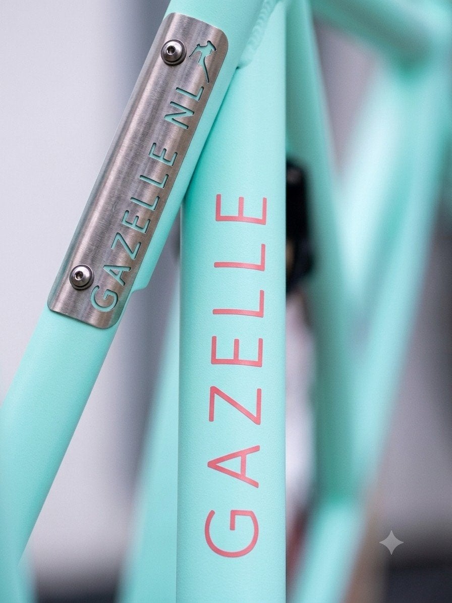 Unieke Gazelle NL Meidenfiets – Dé Perfecte heavy duty !, Fietsen en Brommers, Fietsen | Dames | Damesfietsen, Ophalen, Terugtraprem