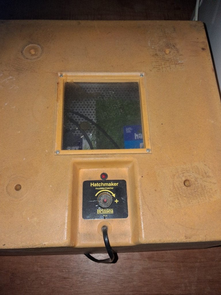 Broedmachine te koop, Ophalen, Gebruikt