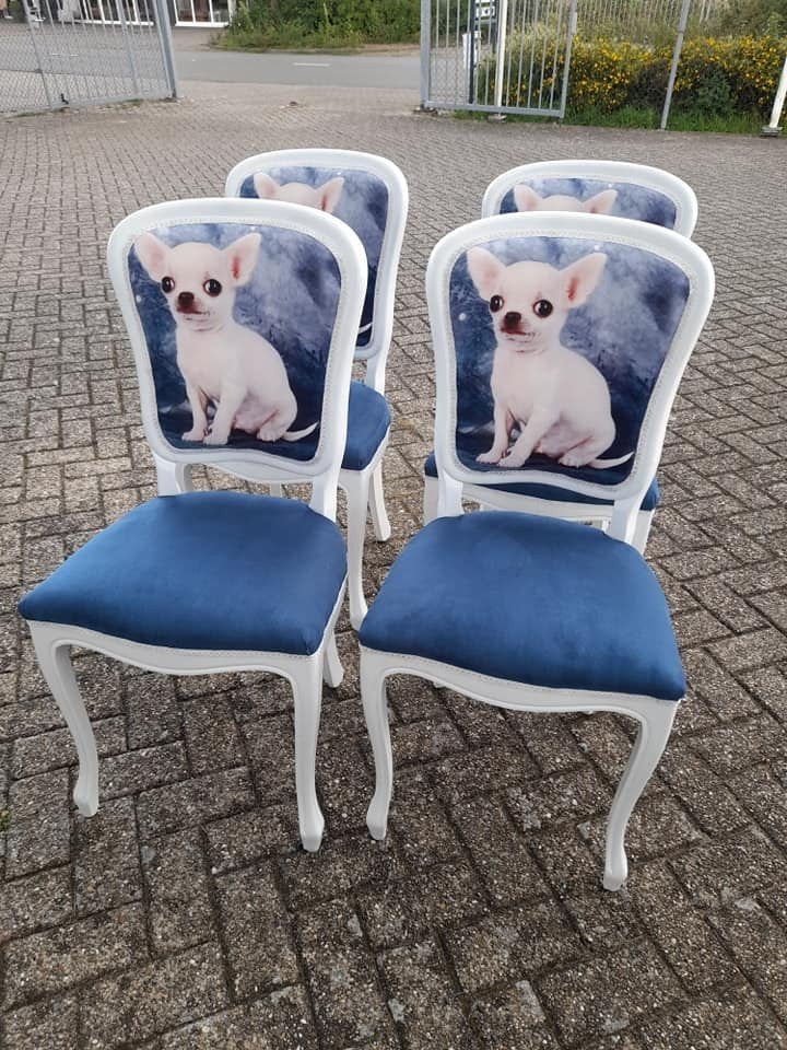 Set 4 mooie chihuahua stoelen opnieuw gestoffeerd, Ophalen