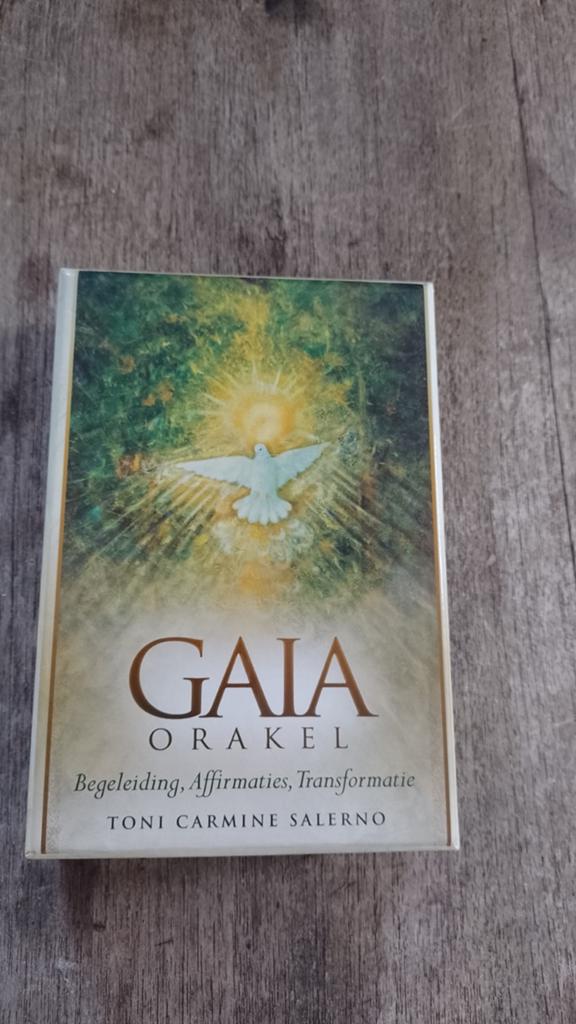 Toni Carmine Salerno - Handleiding, Tarot of Kaarten leggen, Overige typen, Zo goed als nieuw, Toni Carmine Salerno