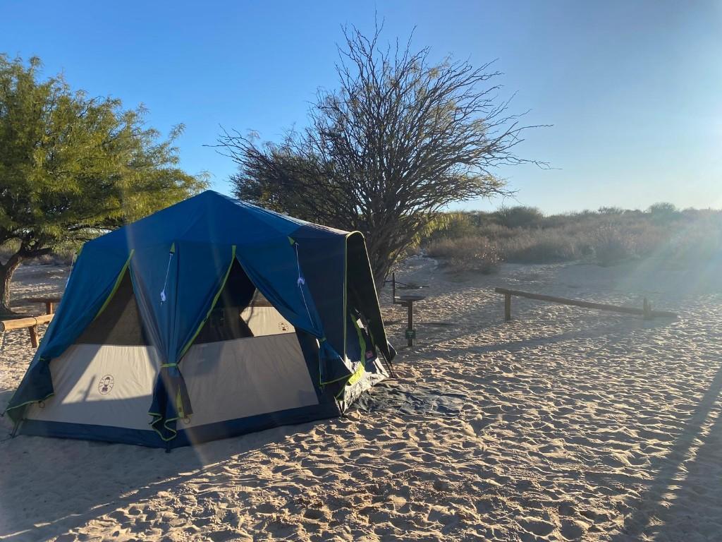 Coleman Octagon Blackout familie tent, Caravans en Kamperen, Tenten, Verzenden, Zo goed als nieuw, Tot en met 6