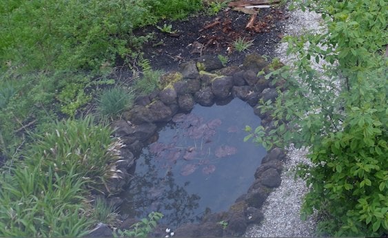 Vijver met lava stenen, Tuin en Terras, Vijvers, Ophalen, Gebruikt