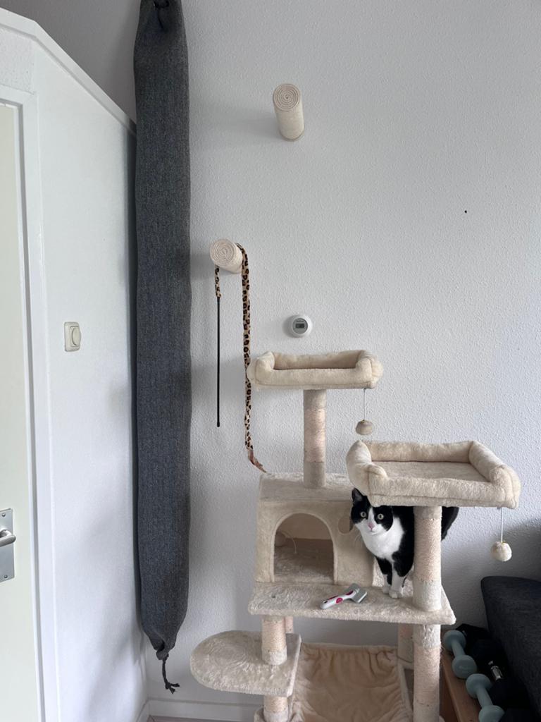 Katten klim zak, Dieren en Toebehoren, Ophalen, Zo goed als nieuw, Krabpaal