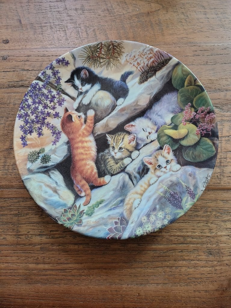 6 porseleinen poezen borden, Antiek en Kunst, Antiek | Porselein, Verzenden
