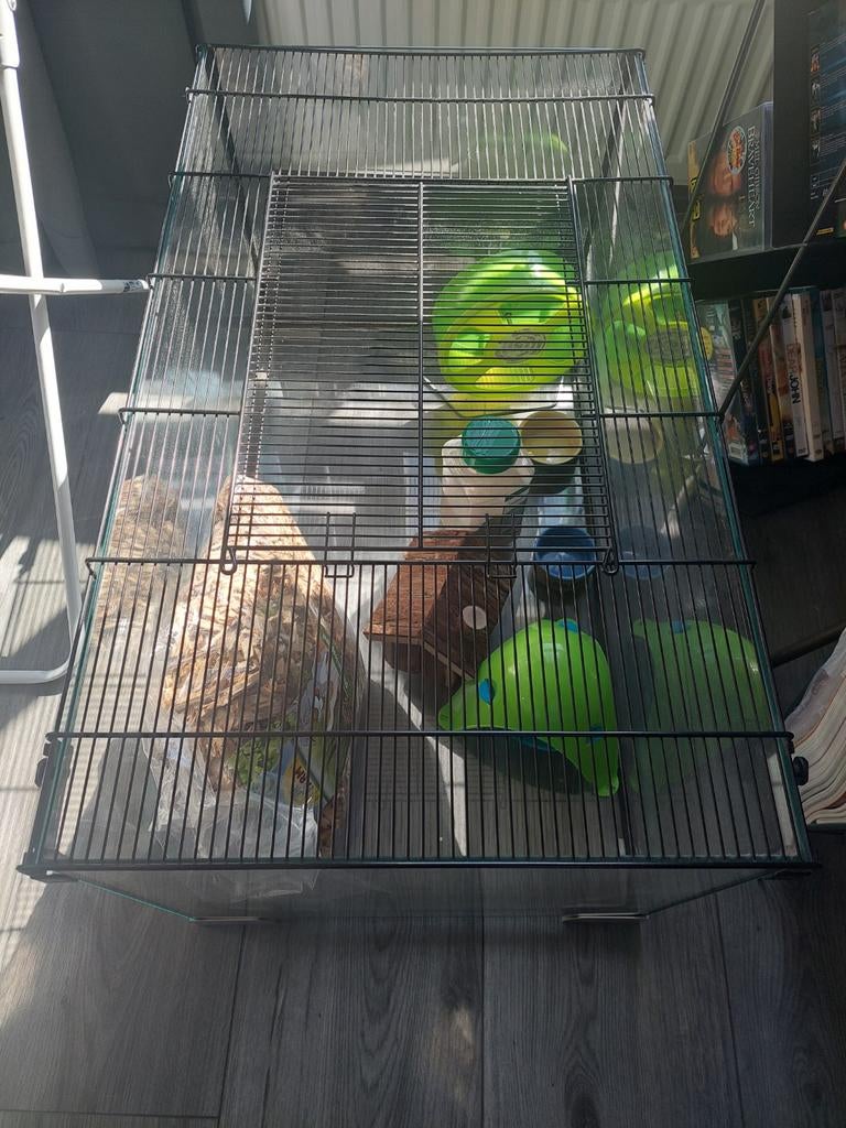 Hamster kooi te koop, Dieren en Toebehoren, Kooi, Gebruikt, Minder dan 75 cm, Hamster