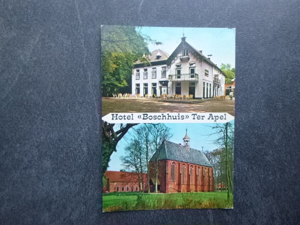 Ter Apel, hotel Boschhuis/kerk 1973, Verzenden, 1960 tot 1980, Gelopen, Groningen