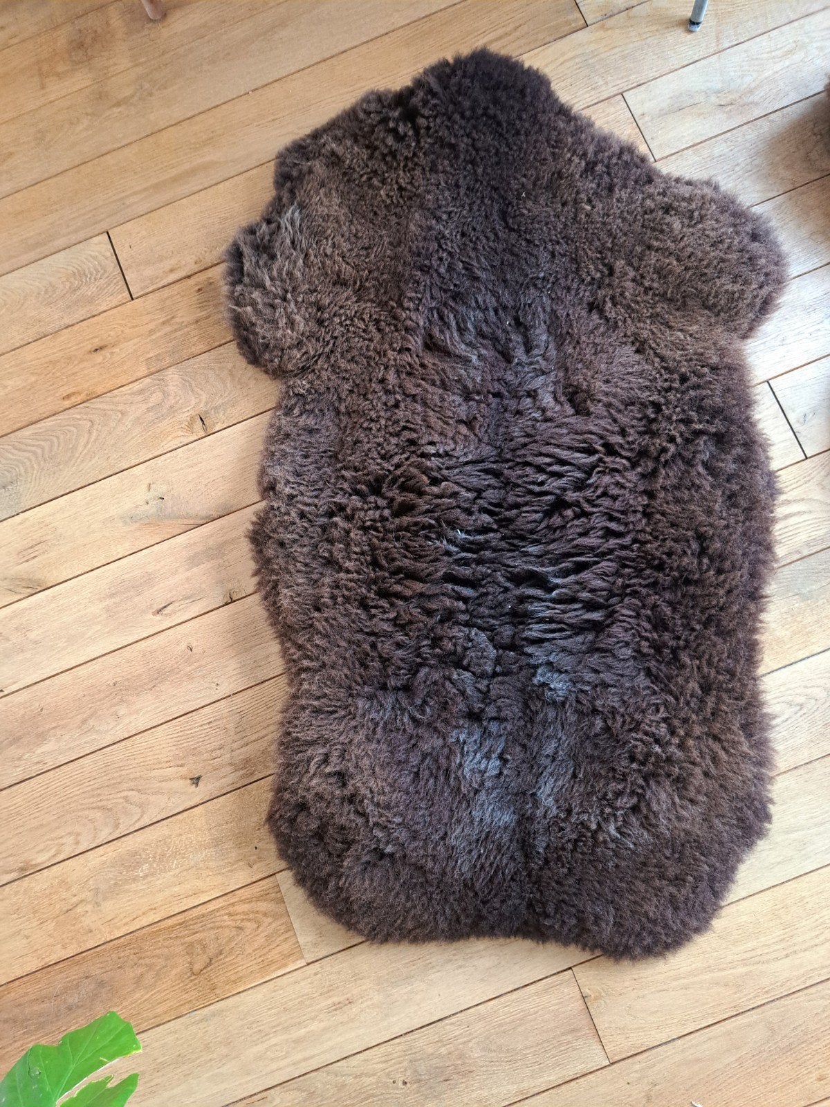 Bonte Bedoeling Schapenvacht - Bruin, 100 tot 150 cm, Bruin, Natuurlijk, Landelijk, Zo goed als nieuw