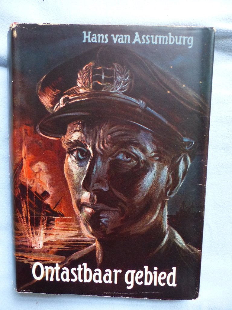Hans van Assumburg ontastbaar gebied, Boeken, Ophalen of Verzenden, Gelezen