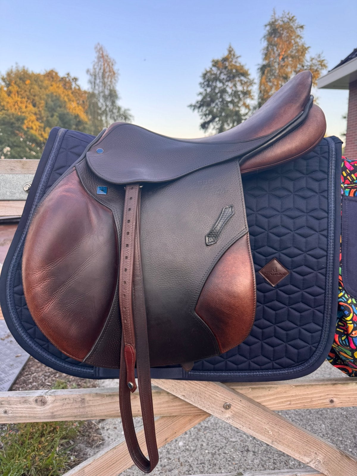 Stübben Portos Elite, L (17.5 inch), Stubben, Ophalen of Verzenden, Middel