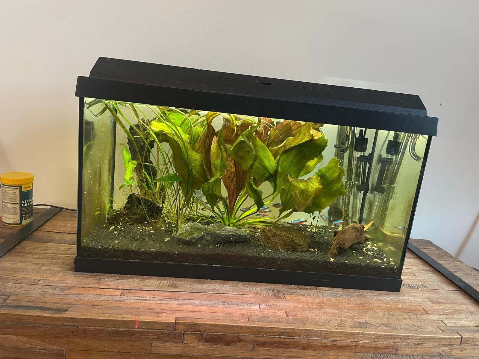 60 liter Juwel aquarium, Ophalen, Pomp, Zo goed als nieuw, Leeg aquarium
