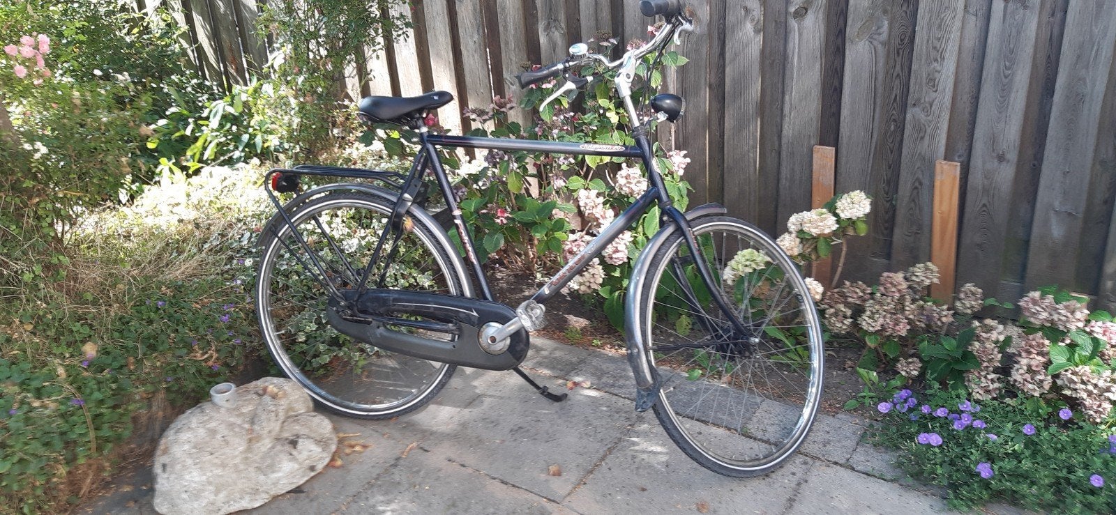 fiets  Pointer 3 versnellingen  licht trommelremmen, Gebruikt, Versnellingen, 53 tot 57 cm, Ophalen
