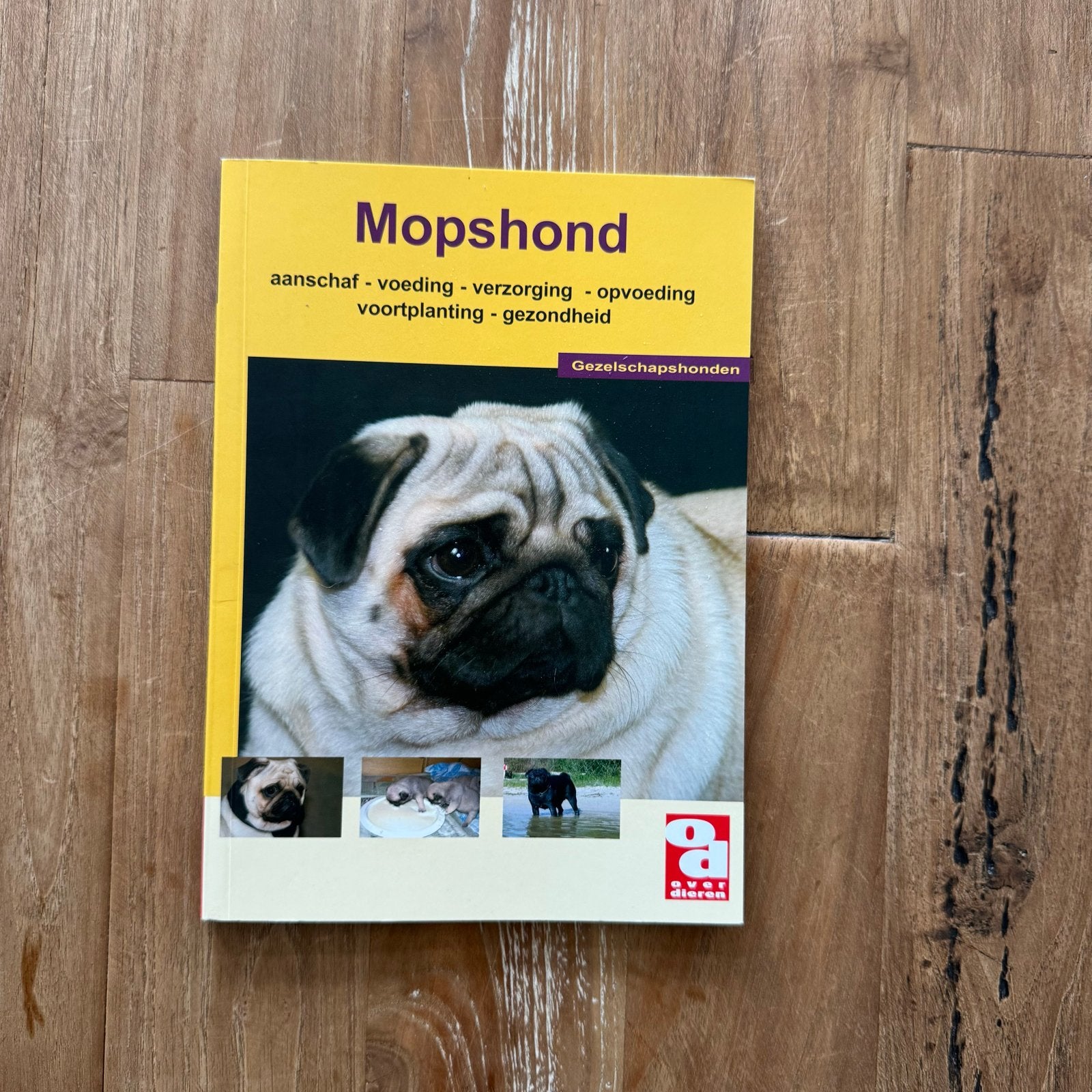 Mopshond: aanschaf, voeding, verzorging, opvoeding, Ophalen of Verzenden, Zo goed als nieuw, Honden