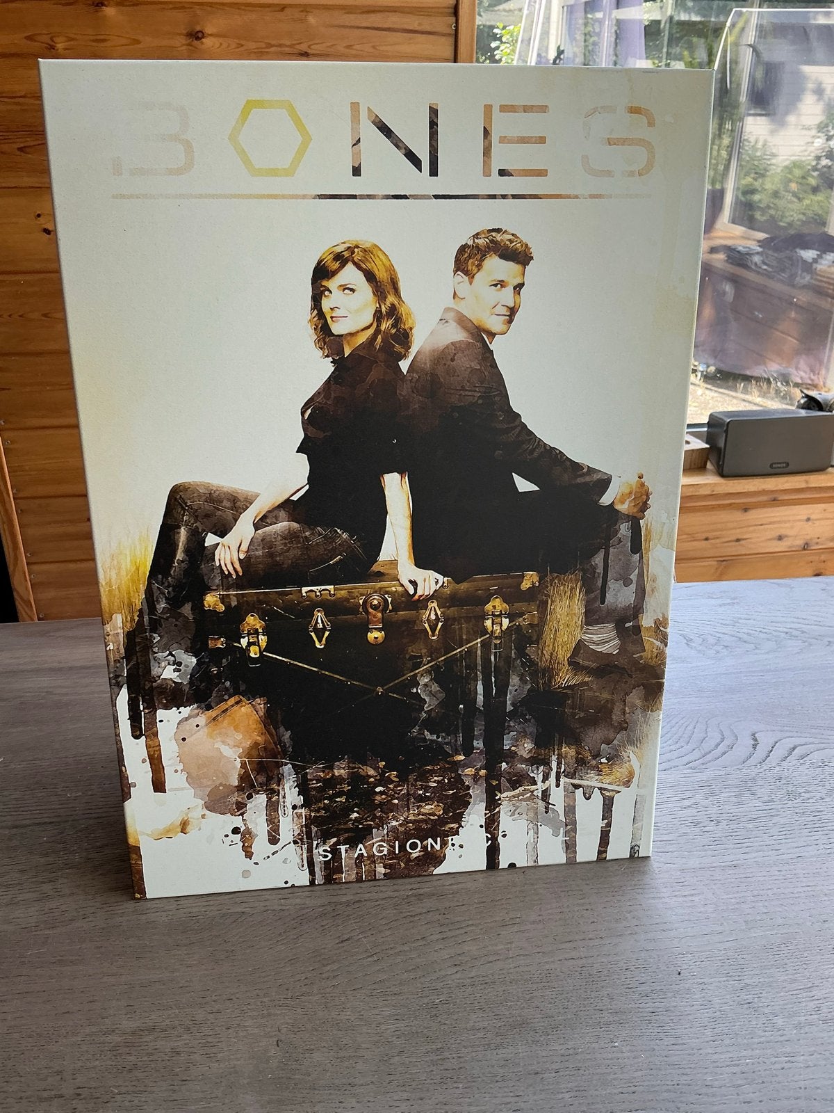Bones Displate - Seizoen 1 - Decoratieve Metalen Plaat, Verzamelen, Ophalen of Verzenden, Zo goed als nieuw, Rechthoekig Staand