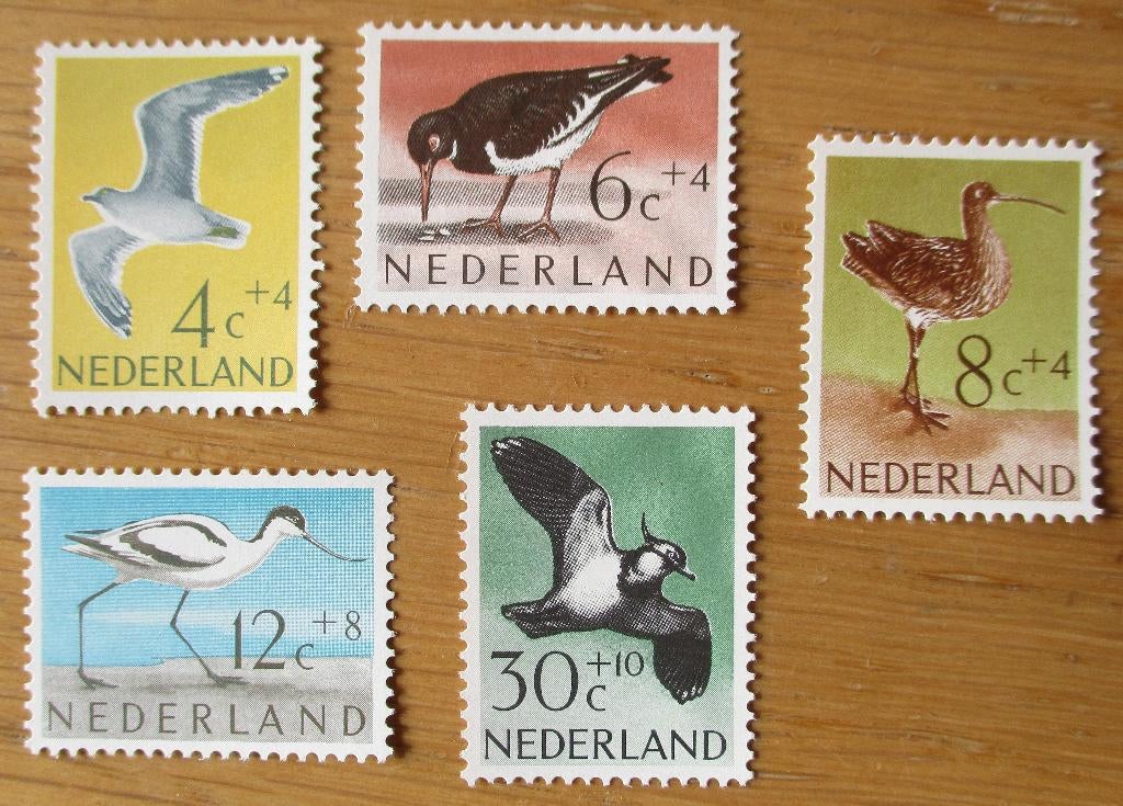 Nederland, serie zomerzegels Vogels, 1961, Postzegels en Munten, Postzegels | Nederland, Verzenden, Na 1940, Postfris