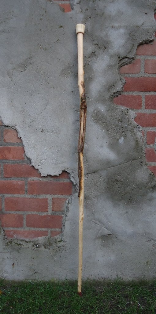 WANDELSTOK lang met natuurlijke vergroeiing - bon Camino (6), Ophalen of Verzenden, Nieuw, Accessoires