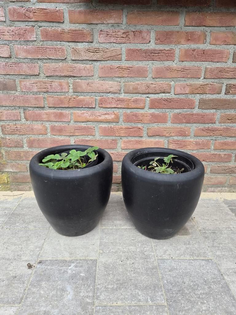 Twee aardewerken bloempotten met ananasaardbeien, Ophalen of Verzenden, Rond, Steen, Minder dan 30 cm