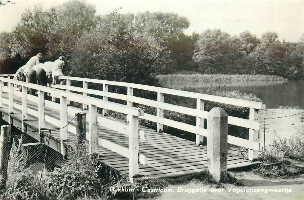 702-009-015 Castricum  Bakkum, Verzenden, Voor 1920, Noord-Holland