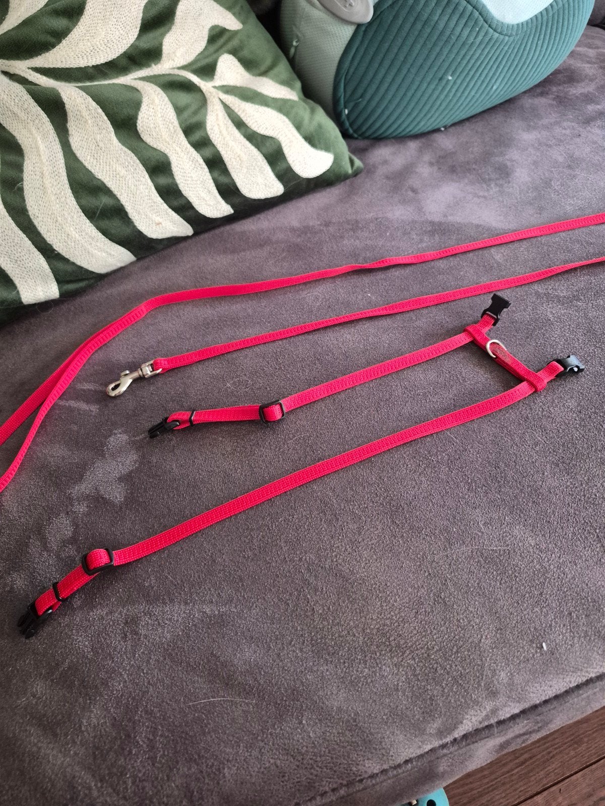 Rood kittentuigje met lijn, Dieren en Toebehoren, Ophalen of Verzenden, Gebruikt