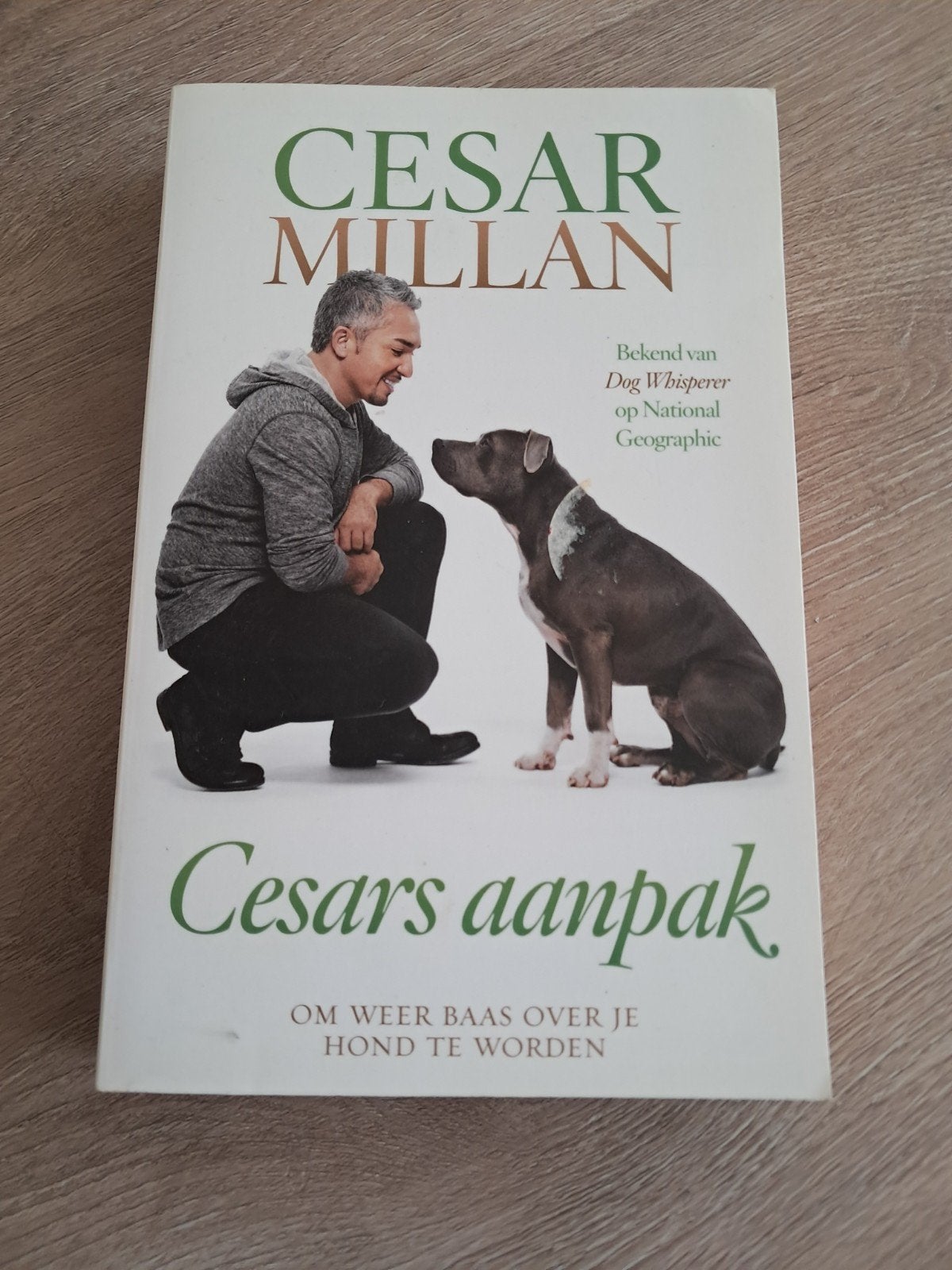 Melissa Jo Peltier - Cesars aanpak, Melissa Jo Peltier; Cesar Millan, Honden, Ophalen of Verzenden, Zo goed als nieuw