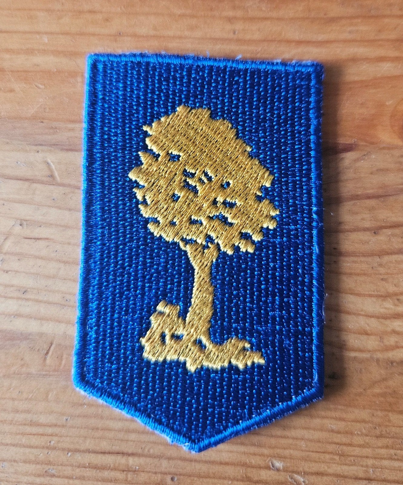 Mouwembleem Opleidings-en Trainingscommando, Ophalen of Verzenden, Landmacht, Nederland, Embleem of Badge