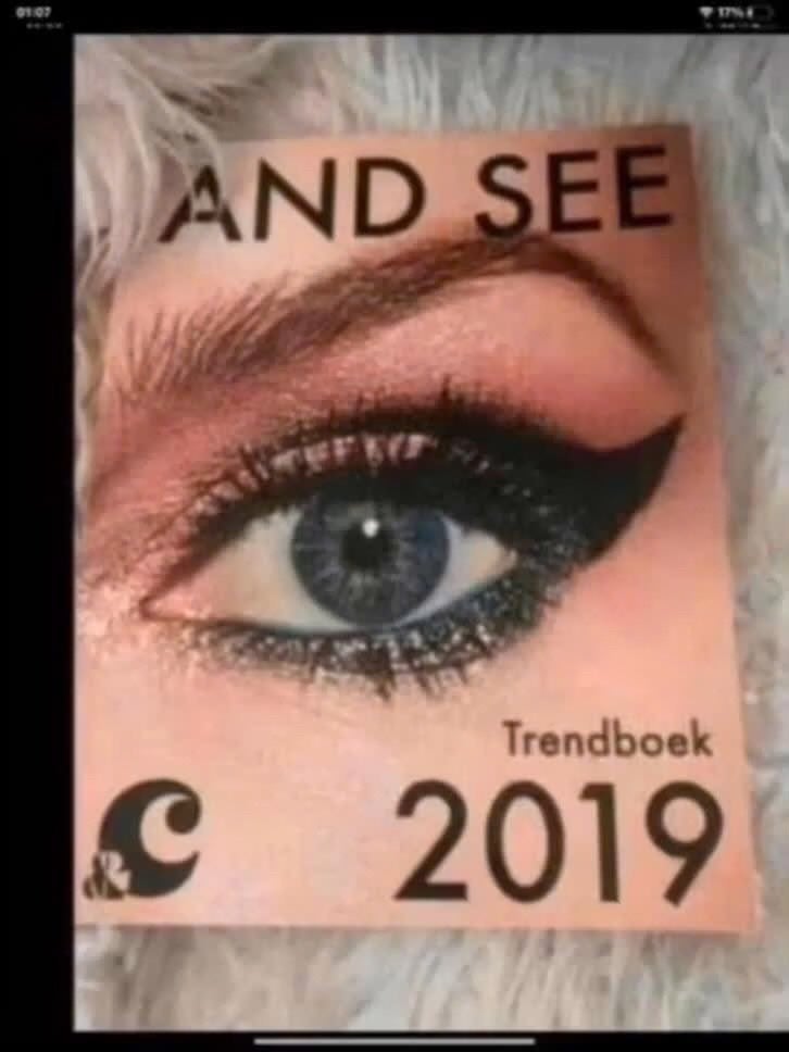 And See Trendboek 2019 - Make-up en Beauty Trends, Ophalen of Verzenden, Zo goed als nieuw, Onbekend