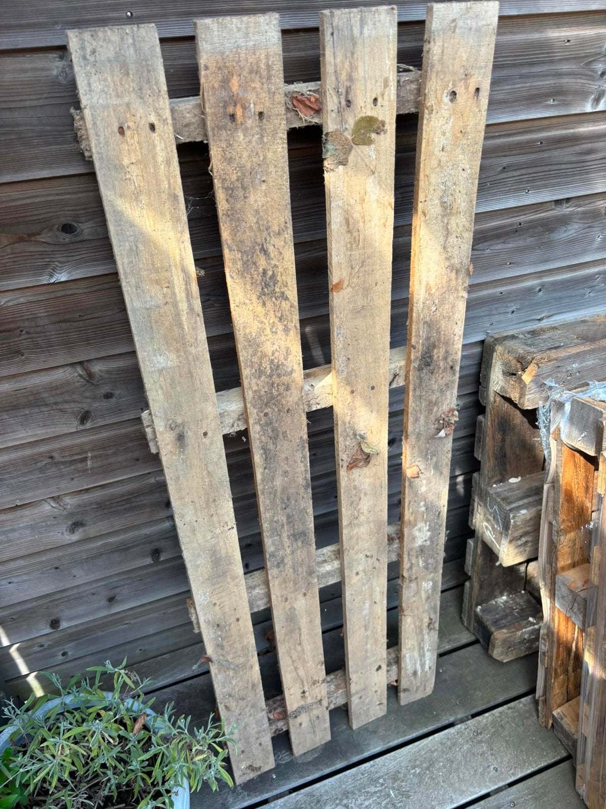 5 gebruikte pallets, Ophalen, Gebruikt, 50 mm of meer, Pallet