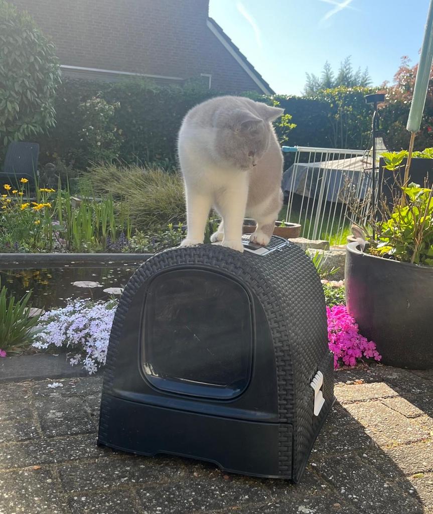 Kattenbak merk Curver, Ophalen, Zo goed als nieuw, Gesloten