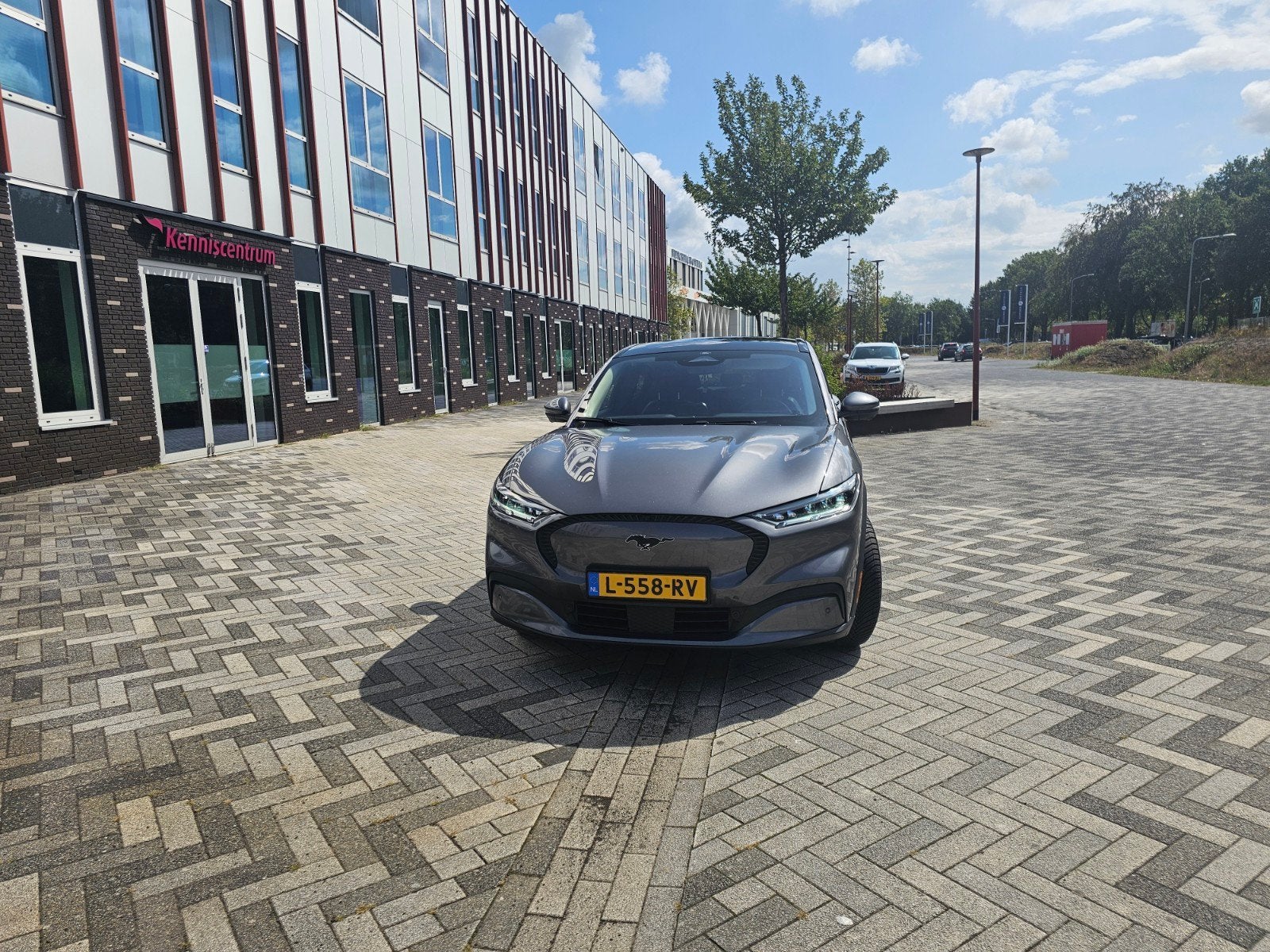 Ford Mustang 98kWh 338pk RWD Aut. 2021 Grijs, Achterwielaandrijving, 750 kg, Elektrisch, 570 min