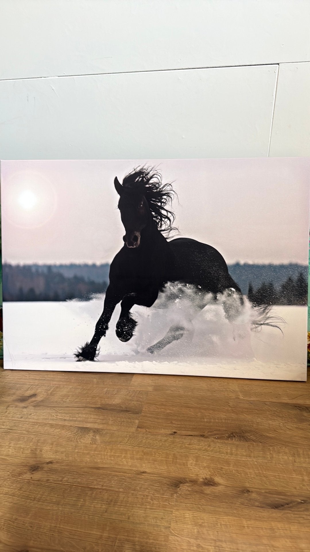 Schilderij paard, Ophalen, Zo goed als nieuw, Paard, Beeldje of Figuurtje