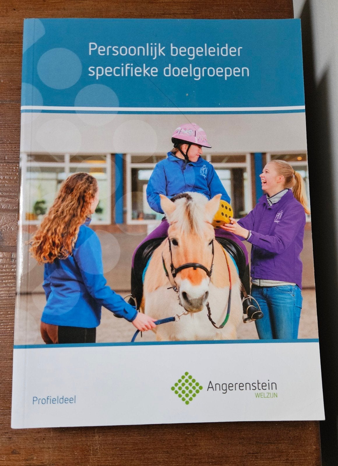 Persoonlijk begeleider specifieke doelgroepen, Boeken, Ophalen of Verzenden, Zo goed als nieuw, Overige niveaus, Nederlands