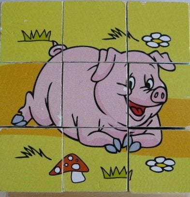 Houten Blokken Puzzle 9 delig (zie afbeelding), Zo goed als nieuw, Van hout, 6 maanden tot 2 jaar, Meer dan 50 stukjes